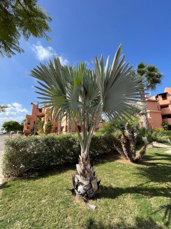 Spirit Of Mar Menor Apartment Torre-Pacheco Ngoại thất bức ảnh